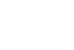 VSL